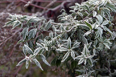 Similar image 988814