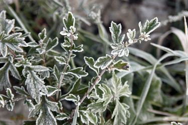 Similar image 988817