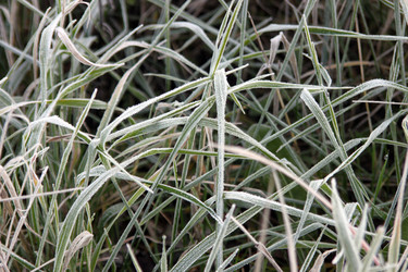 Similar image 988822