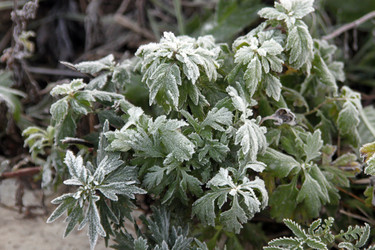 Similar image 988827