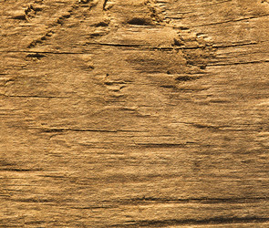 Similar image 988892