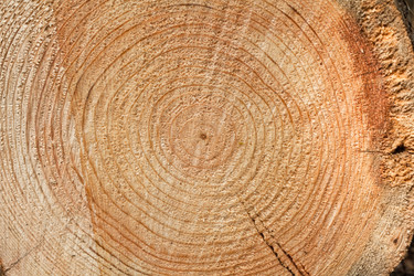 Similar image 988922