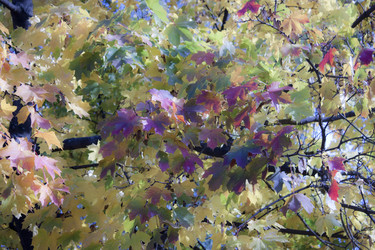 Similar image 989006