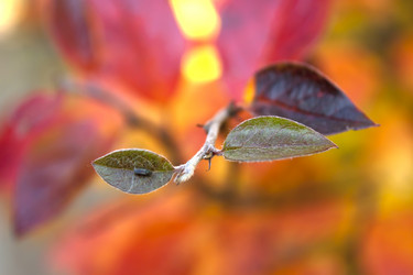 Similar image 989008