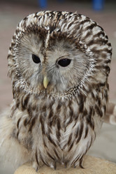 Similar image 989047