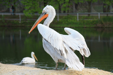 Similar image 989048