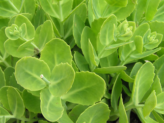 Similar image 989157