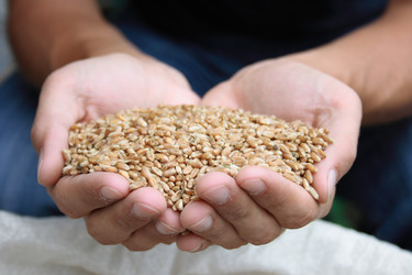 Similar image 989170