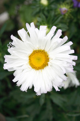 Similar image 989184