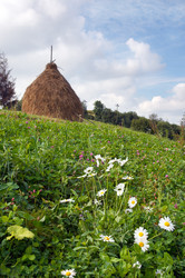 Similar image 989285