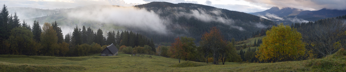 Similar image 989286