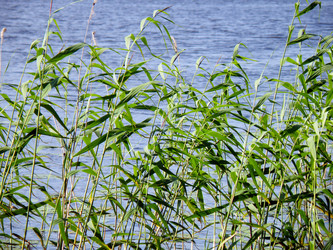 Similar image 989333