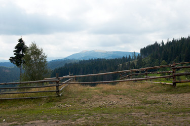 Similar image 989334