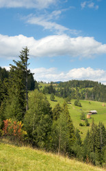 Similar image 989342