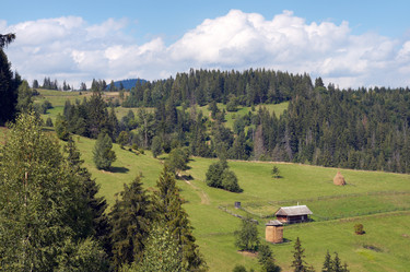 Similar image 989344