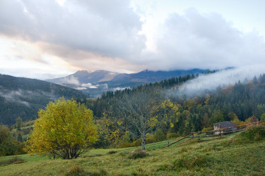 Similar image 989354