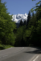 Similar image 989359