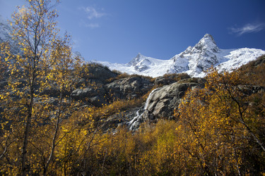 Similar image 989370