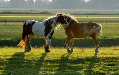 Similar image 989393