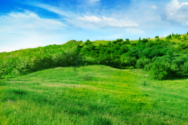 Similar image 989396