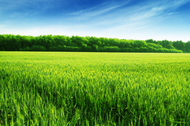 Similar image 989397