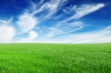 Similar image 989399