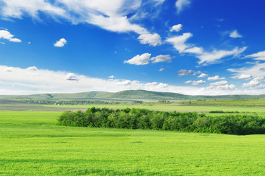 Similar image 989401