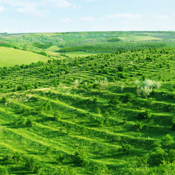 Similar image 989403