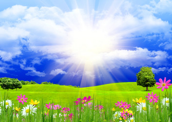 Similar image 989404