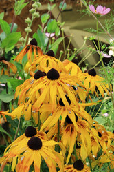 Similar image 989407