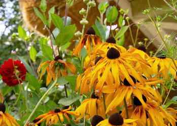 Similar image 989410