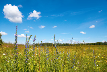 Similar image 989427