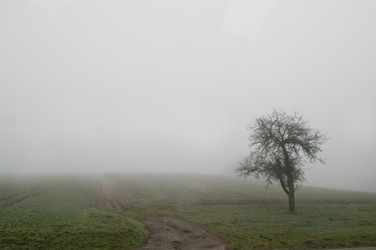 Similar image 989435