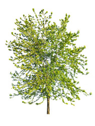 Similar image 989438