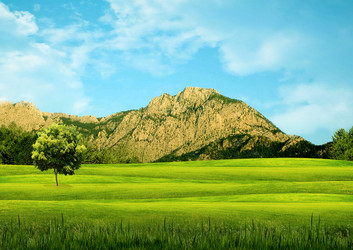 Similar image 989440