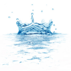 Similar image 989446