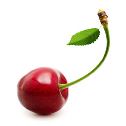 Similar image 989507