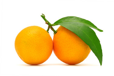 Similar image 989518