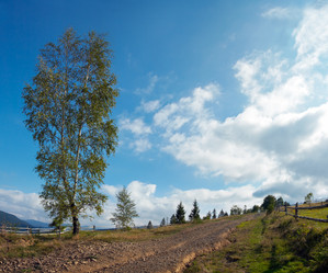 Similar image 989572