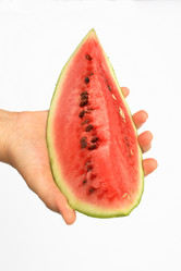 Similar image 989582