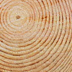 Similar image 989584