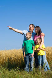 Similar image 989641