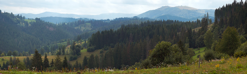 Similar image 989663