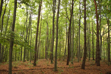 Similar image 989665