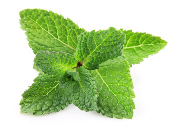 Similar image 989694