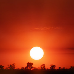 Similar image 989699