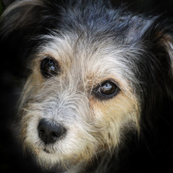 Similar image 989716