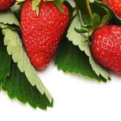 Similar image 989731