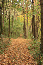 Similar image 989749