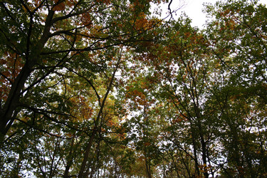 Similar image 989751